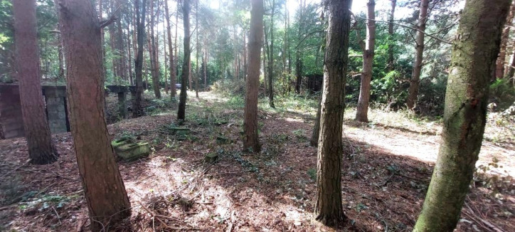 Działka Sprzedaż Rosanów Letnia 3