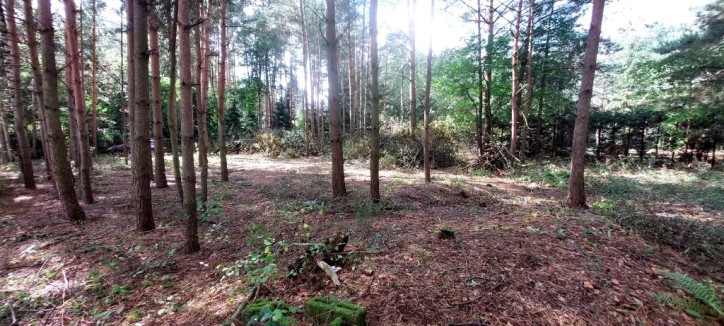 Działka Sprzedaż Rosanów Letnia 4