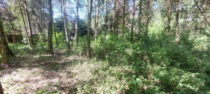 Działka Sprzedaż Dziektarzew 3