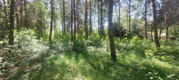 Działka Sprzedaż Dziektarzew 4