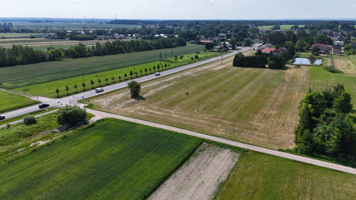 Działka Sprzedaż Budy Dłutowskie 1