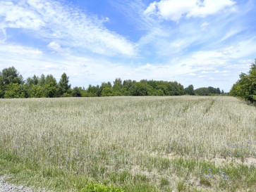 Działka Sprzedaż Tuszyn Niedas